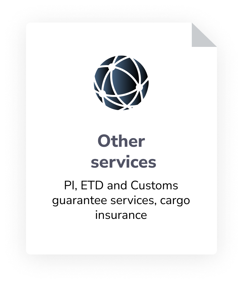 Kitos transportavimo paslaugos - PI, ETD, muitinės garantijos, krovinių draudimas