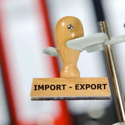 DLG logistics group - importo-eksporto procedūros